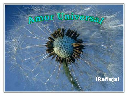 Amor Universal ¡Refleja!.