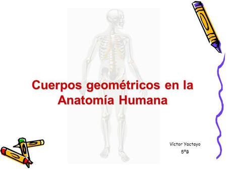 Cuerpos geométricos en la Anatomía Humana