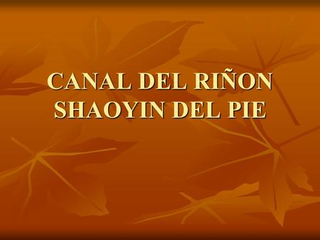 CANAL DEL RIÑON SHAOYIN DEL PIE