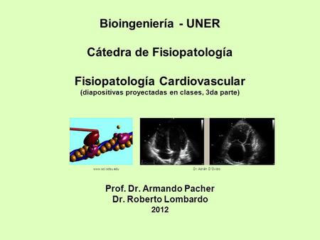 Bioingeniería - UNER Cátedra de Fisiopatología Fisiopatología Cardiovascular (diapositivas proyectadas en clases, 3da parte) Prof. Dr. Armando.