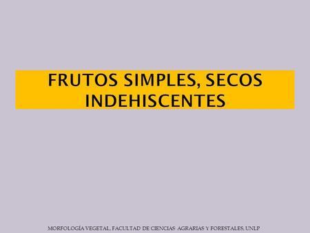 FRUTOS SIMPLES, SECOS INDEHISCENTES