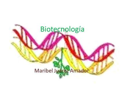 Biotecnología Maribel Juárez Amador.