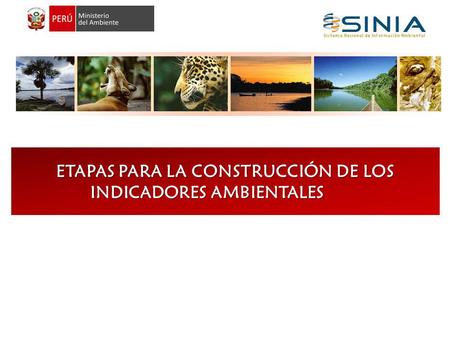 ETAPAS PARA LA CONSTRUCCIÓN DE LOS INDICADORES AMBIENTALES
