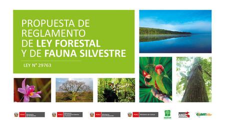 PROPUESTA DE REGLAMENTO DE LEY FORESTAL Y DE FAUNA SILVESTRE