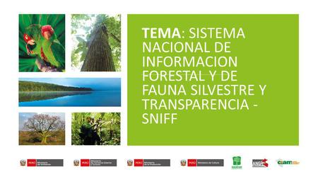 TEMA: SISTEMA NACIONAL DE INFORMACION FORESTAL Y DE FAUNA SILVESTRE Y TRANSPARENCIA - SNIFF 1.