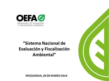 “Sistema Nacional de Evaluación y Fiscalización Ambiental”