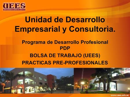 Unidad de Desarrollo Empresarial y Consultorìa.