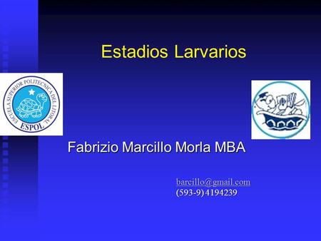 Fabrizio Marcillo Morla MBA