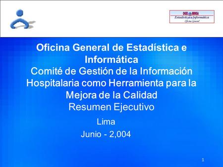 Oficina General de Estadística e Informática Comité de Gestión de la Información Hospitalaria como Herramienta para la Mejora de la Calidad Resumen Ejecutivo.
