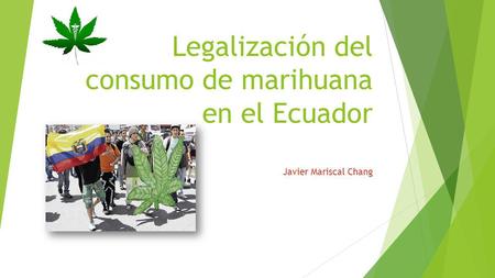 Legalización del consumo de marihuana en el Ecuador