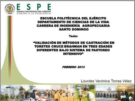 Lourdes Verónica Torres Vélez