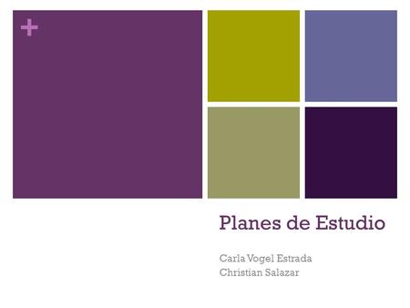 + Planes de Estudio Carla Vogel Estrada Christian Salazar.