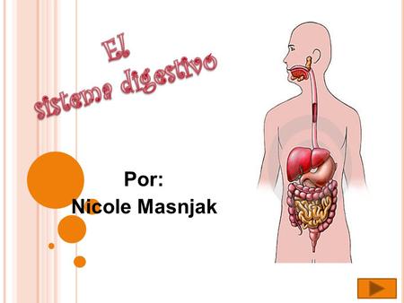 El sistema digestivo Por: Nicole Masnjak.