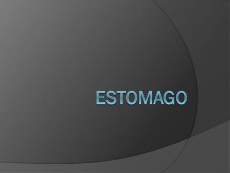 Estomago.