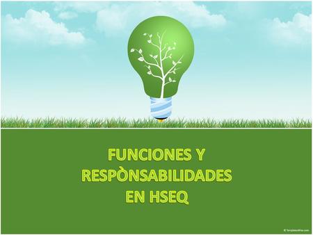 FUNCIONES Y RESPÒNSABILIDADES EN HSEQ