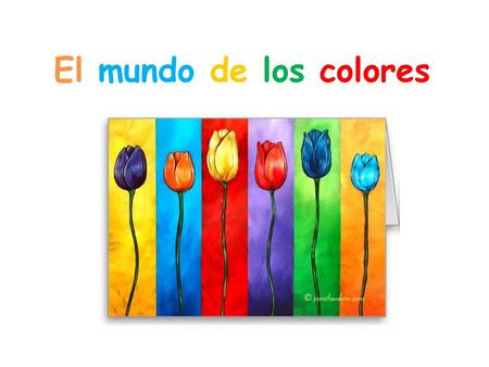 El mundo de los colores.
