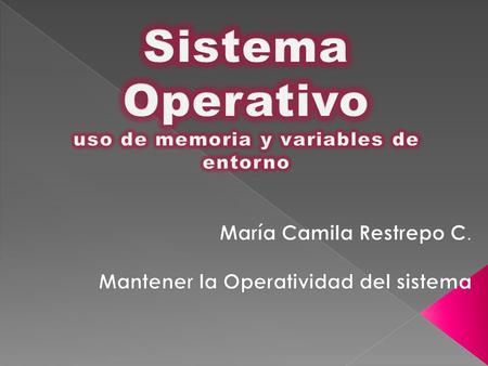 Las variables de entorno forman un conjunto de valores dinámicos que normalmente afectan el comportamiento de los procesos en una computadora.