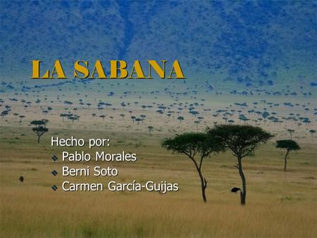 Hecho por: Pablo Morales Berni Soto Carmen García-Guijas