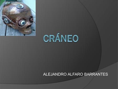ALEJANDRO ALFARO BARRANTES