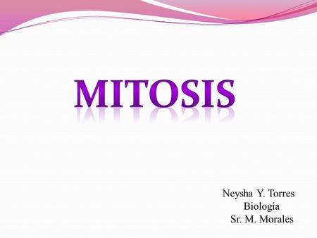 Neysha Y. Torres Biología Sr. M. Morales. INTRODUCCIÓN Nuestro organismo y el de otros seres vivos, está constituido por diferentes tipos de células y.