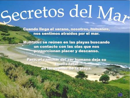 Cuando llega el verano, nosotros, humanos, nos sentimos atraídos por el mar. Multitudes se reúnen en las playas buscando un contacto con las olas que.
