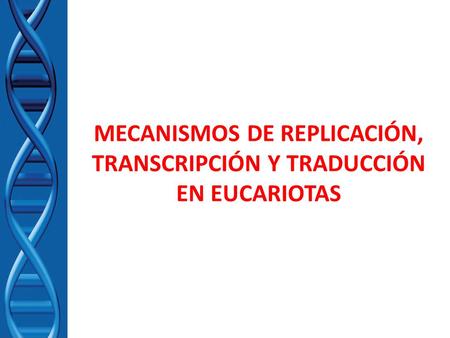 MECANISMOS DE REPLICACIÓN, TRANSCRIPCIÓN Y TRADUCCIÓN EN EUCARIOTAS