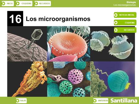 16 NOTICIA INICIAL Los microorganismos ESQUEMA RECURSOS.