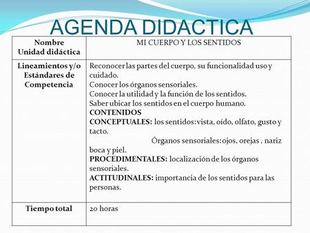 Lineamientos y/o Estándares de Competencia