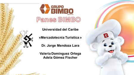 Universidad del Caribe «Mercadotecnia Turística » Dr. Jorge Mendoza Lara Valeria Domínguez Ortega Adela Gómez Fischer.