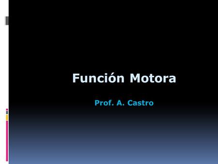 Función Motora Prof. A. Castro