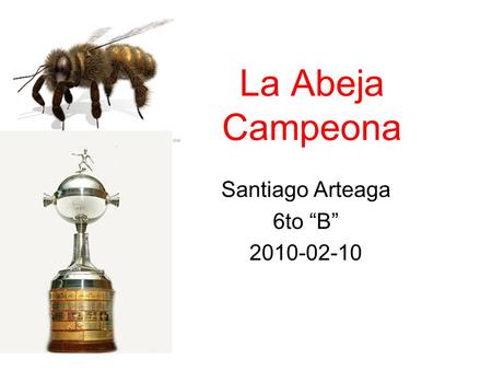 La Abeja Campeona Santiago Arteaga 6to “B” 2010-02-10.