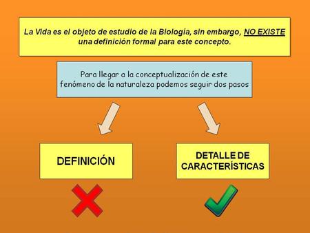 Características de los seres vivos