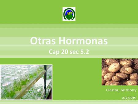 Garita, Anthony A82589.  La evidencia de éstas en la tuberización no es tan clara.  Varios informes indican altos niveles de CK en las hojas de papa,