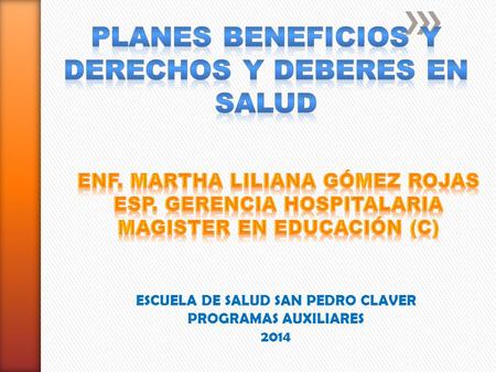 ESCUELA DE SALUD SAN PEDRO CLAVER PROGRAMAS AUXILIARES 2014