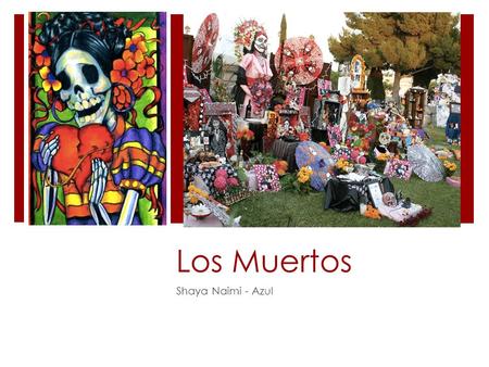 Los Muertos Shaya Naimi - Azul.
