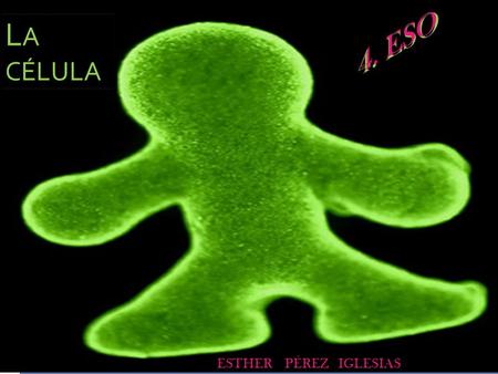 LA CÉLULA 4. ESO ESTHER PÉREZ IGLESIAS.