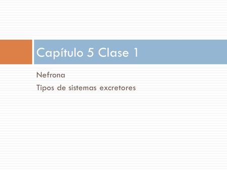 Capítulo 5 Clase 1 Nefrona Tipos de sistemas excretores.