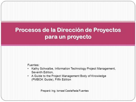 Procesos de la Dirección de Proyectos para un proyecto