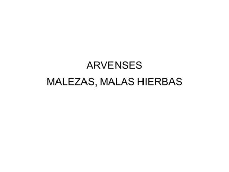 ARVENSES MALEZAS, MALAS HIERBAS