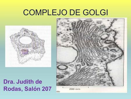 COMPLEJO DE GOLGI Dra. Judith de Rodas, Salón 207.