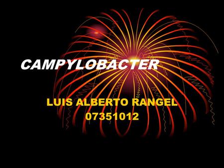 CAMPYLOBACTER LUIS ALBERTO RANGEL 07351012.