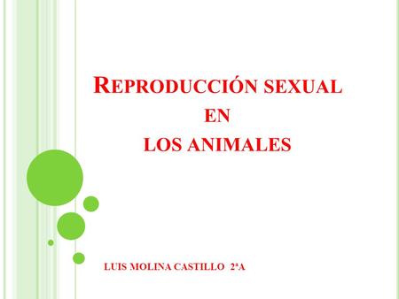 Reproducción sexual en los animales