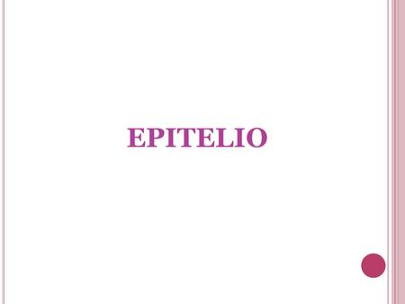 EPITELIO.