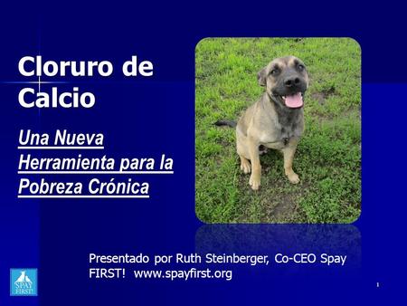 1 Presentado por Ruth Steinberger, Co-CEO Spay FIRST! www.spayfirst.org Cloruro de Calcio Una Nueva Herramienta para la Pobreza Crónica.