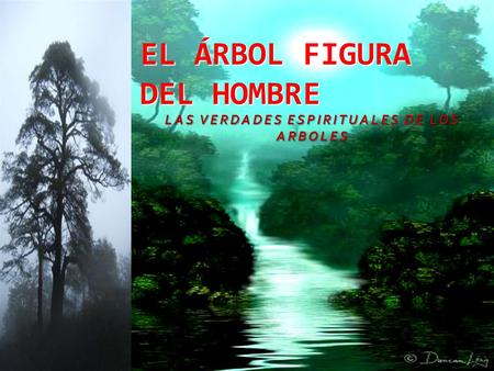 EL ÁRBOL FIGURA DEL HOMBRE