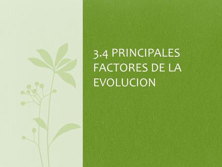 3.4 PRINCIPALES FACTORES DE LA EVOLUCION