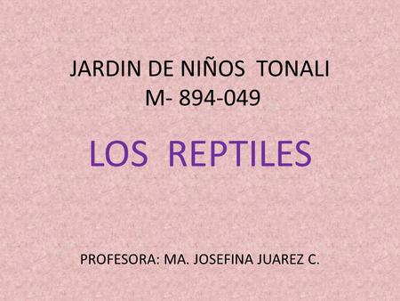 JARDIN DE NIÑOS TONALI M- 894-049 LOS REPTILES PROFESORA: MA. JOSEFINA JUAREZ C.