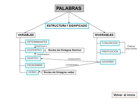 Núcleo del Sintagma Nominal Núcleo del Sintagma verbal