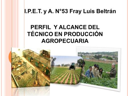 I.P.E.T. y A. N°53 Fray Luis Beltrán PERFIL Y ALCANCE DEL TÉCNICO EN PRODUCCIÓN AGROPECUARIA.