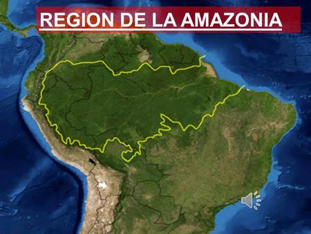 REGION DE LA AMAZONIA PRESENTADO POR: Lina María Amado Parra Johan ballesteros Brayan moreno Oscar uchima María Fernanda Buritica Laura catalina Valderrama.